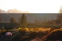 Inspirational Quote: Simple Habits That Help You Grow Stronger
